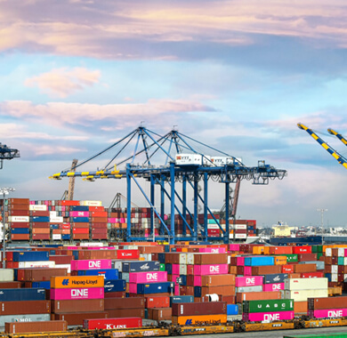 Cargo preparation